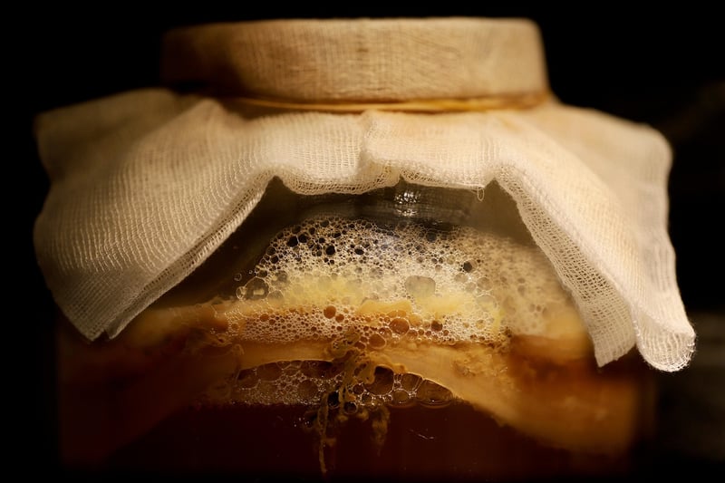 Kombucha Tea